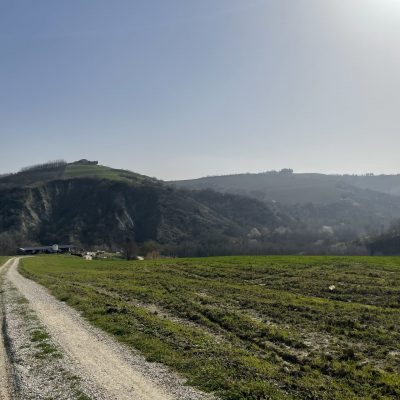 IMG_5313