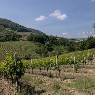 valdaso-visitmontaltomarche